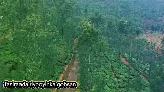 ukunta  iyo qubeeyska suaalo & jawaabo