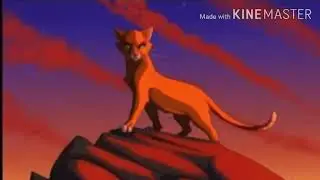 Warrior Cats - Rubinsterns Geschichte (Ausgedacht) || Warrior Cats Blitzherz