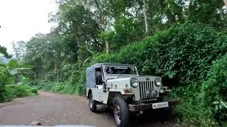 Scenic Village Drive 🔥Cardamom Plantation Area 🔥 Idukki, Kerala, India 🔥 60 FPS