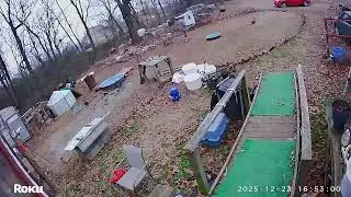 Putting the Birds up for the night
