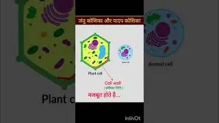 पादप और जंतु कोशिका #plantcell #animalcell #science #scienceshorts #education #sciencefacts #yt