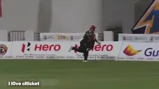 Cricket players accident and collisions on field
