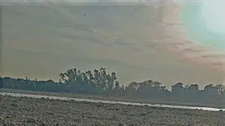 Еду, которую ест обезьянка Кака, принес ее папа, иначе она бы проголодалась. #ОбезьянкаКака #Милая