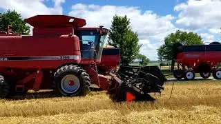 Wheat Harvest 2020