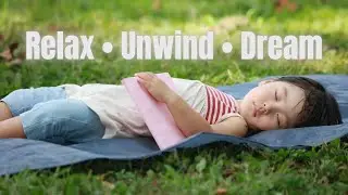 🌞 Sunday Morning Guided Meditation with Noah Rivers | Relax, Breathe & Start Your Day Calm