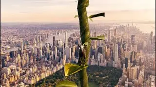 Pilgor and the Beanstalk