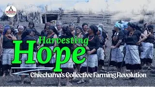 Harvesting Hope: Chiechama&rsquo;s Collective Farming Revolution