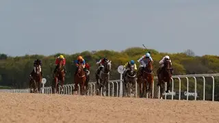 Horse racing tips: Templegate previews the Vertem Futurity at Newcastle on Friday