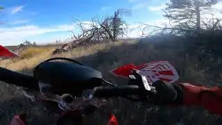 Gas Gas MCE5 singletrack.