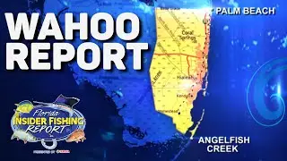 Looking For Wahoo in Southeast Florida? The Florida Insider Fishing Report has you Covered!