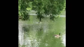 Yoctangee Park - Chillicothe, Ohio - July 17, 2019