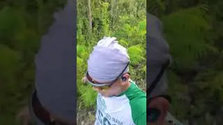 Cebu Trail Runnz
