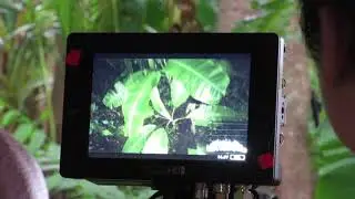 Watching the monitor