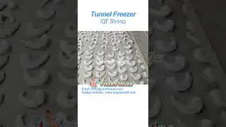 Yurnfreeze IQF Tunnel Freezer Frozen Shrimp