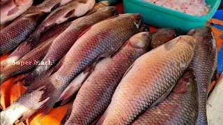 Supermachi || How actually Fish market looks ? #youtube @supermachi7