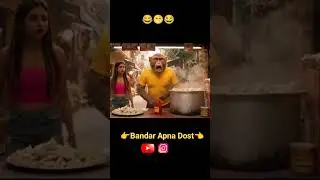 monkey momo band #trendingshorts #funny