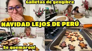 LO DURO DE LA NAVIDAD EN TURQUÍA 🥹 / GALLETITAS DE GENGIBRE 🎄