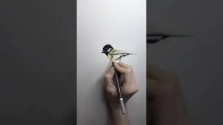 Bird Drawing Time-lapse 2