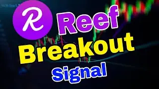 Reef Urgent News! Reef Price Prediction! Reef News Today