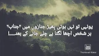 #urdupoetry #whatsappstatus #Hearrbroken Sad poetry status | poetry in urdu | whatsapp status |🌼