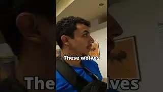 Wolf Display | Draper Natural History Museum