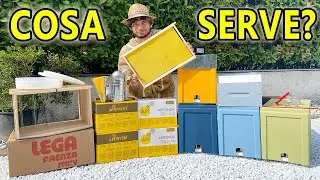 Apicoltura: cosa serve per iniziare