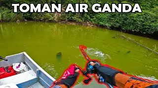 Casting Ikan Toman Air Ganda, Gerik