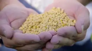 Pine Manor Farms - Non-GMO Project Verified