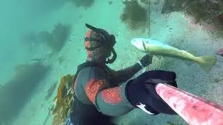 Spearfishing in Hitra/Fr&oslash;ya islands...  2016/2017.