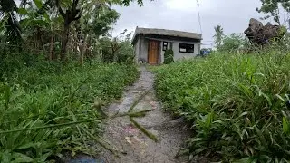 RELIVE BROWN OUT