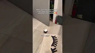 I can't believe she came in like that 😭🤣 #robot #parents #longdistance