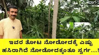 ಇವರ ತೋಟದ ಆದಾಯ ಕೇಳಿದ್ದಕ್ಕೆ.. ಆದಾಯಕ್ಕಿಂತ ಹೆಚ್ಚಾಗಿ ನೆಮ್ಮದಿ ಸಿಗುತ್ತಿದೆ ಅದಕ್ಕೆ ನಾನು ಐಟಿ ಬಿಟ್ಟು ಇಲ್ಲಿಗೆ..!