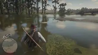 The Lake Sturgeon Caught With A Bullet on Accident