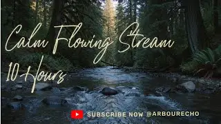 Calm Flowing Stream 10 Hours | Relaxing Nature Water Sounds