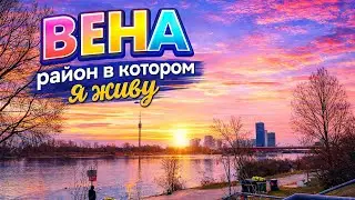 СТРИМ ИЗ ВЕНЫ
