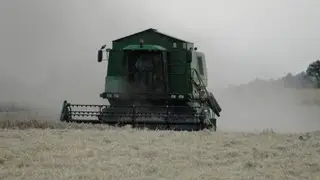 Film z serii Żniwa, Czyli jak sie żniwuje w Polsce