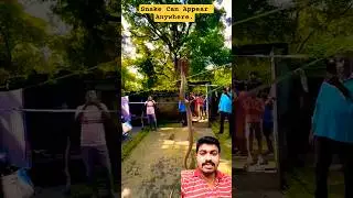 Snake Can Appear Anywhere | Snake Awareness #awareness #safety #safetytips #socialawareness #shorts