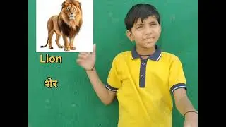Animals Name in Sign Language. 