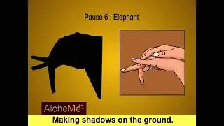 Creative Thinking  Shadow Play