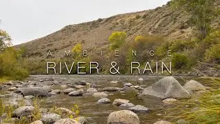 4K River Rain Nature Ambience | Relaxing White Noise for Sleep Study Focus Writing or Inspiration