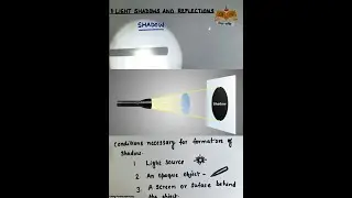(06th Science AP) How shadows are formed/छाया कैसे बनती है?