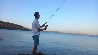 Catching red snapper # fishing # goa 