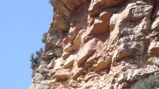 Ferrata Feliz Navidad.mp4