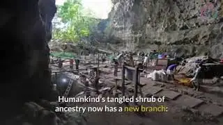 The first ancients human bones found in the Philippines
