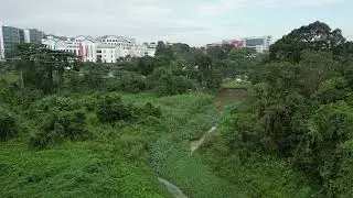 Clementi Forest - aerial view