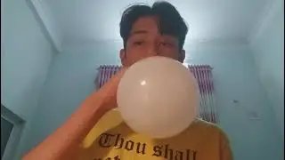 Balloon #10958