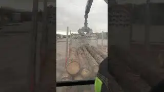 Unloading Timber from a timber truck