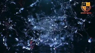 ID #958 - Liquid Water Logo Animation Intro Reveal - Design Bank Logo Animation