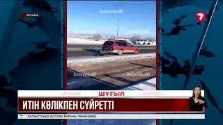 A video of a dog being dragged by a car in Astana has gone viral online.