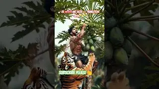 ek आदमी me Tiger 🐅 humla कर दिया 😭😭 #aivideo #animals #shortvideo